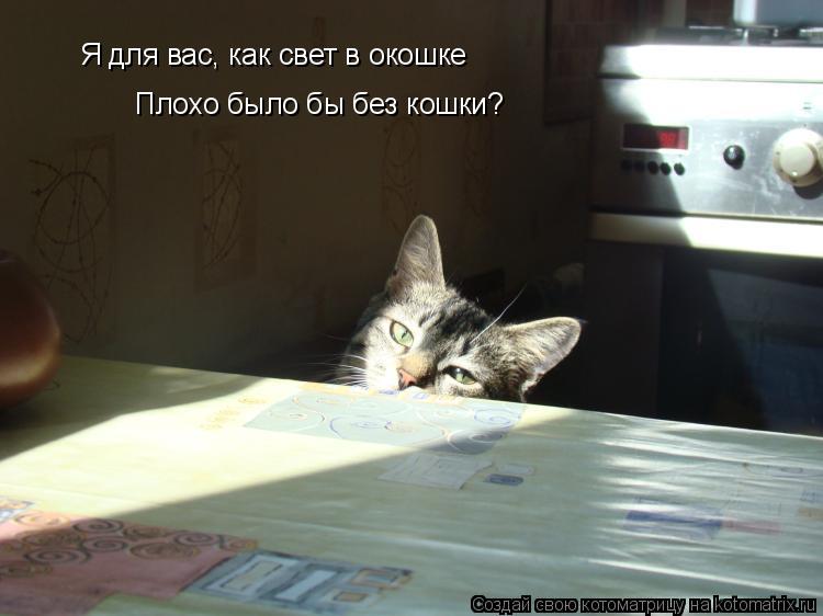 Я для вас, как свет в окошке Плохо было бы без кошки?... Котоматрица: Я для вас, как свет в окошке Плохо было бы без кошки?