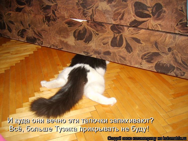 Котоматрица: И куда они вечно эти тапочки запихивают?  Всё, больше Тузика прикрывать не буду!