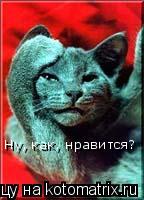 Ну, как, нравится?... Котоматрица: Ну, как, нравится?