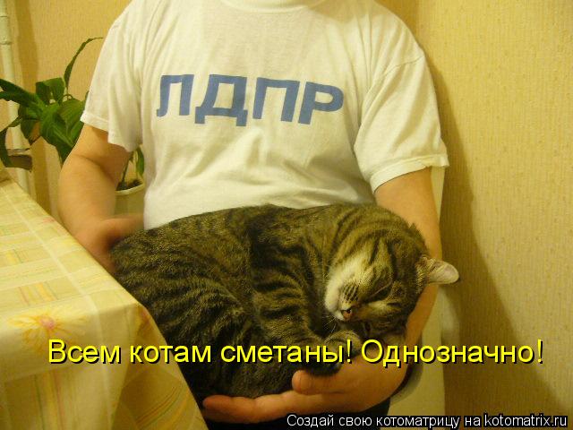 Котоматрица: Всем котам сметаны! Однозначно!