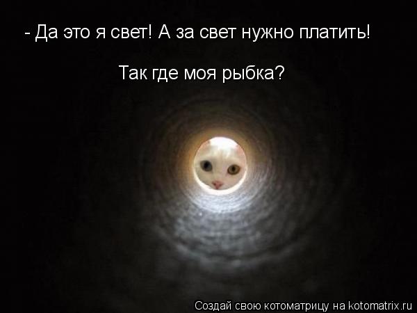 - Да это я свет! А за свет нужно платить! Так где моя рыбка?... Котоматрица: - Да это я свет! А за свет нужно платить! Так где моя рыбка?