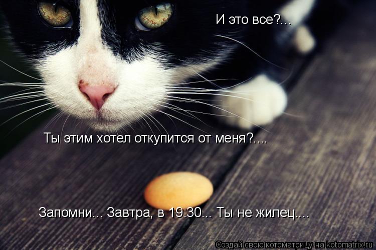И это все?... Ты этим хотел откупится от меня?.... Запомни... Завтра, в 19:30... Ты не жилец....... Котоматрица: И это все?... Ты этим хотел откупится от меня?.... Запомни... Завтра, в 19:30... Ты не жилец....