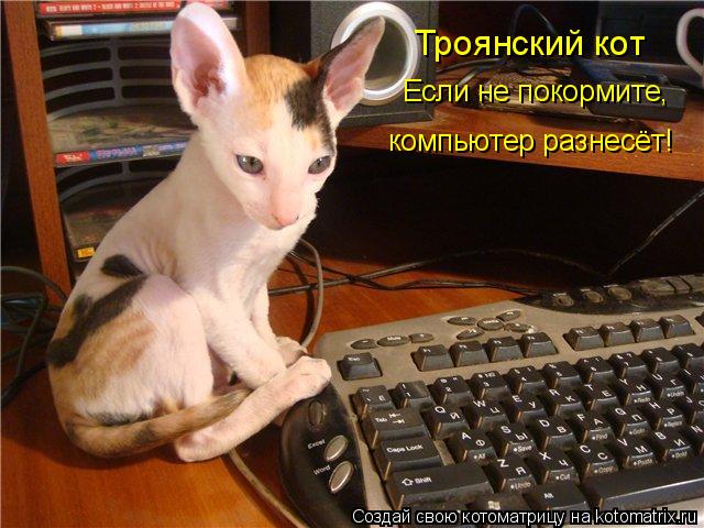 Троянский кот Если не покормите, компьютер разнесёт!... Котоматрица: Троянский кот Если не покормите, компьютер разнесёт!