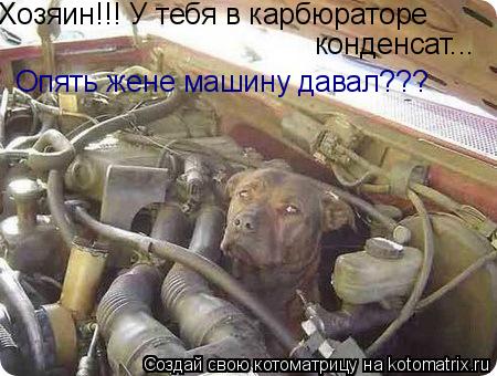 Хозяин!!! У тебя в карбюраторе конденсат... Опять жене машину давал???... Котоматрица: Хозяин!!! У тебя в карбюраторе конденсат... Опять жене машину давал???