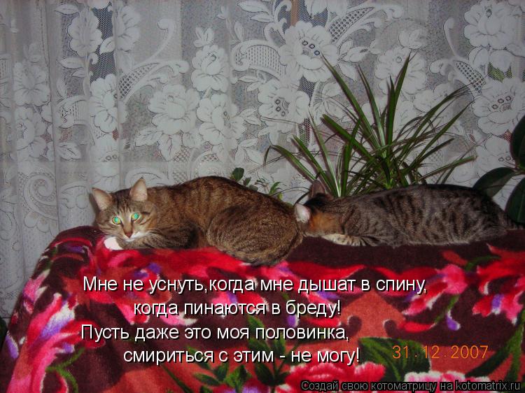 Мне не уснуть,когда мне дышат в спину, когда пинаются в бреду! Пусть даже это моя половинка, смиритьс... Котоматрица: Мне не уснуть,когда мне дышат в спину, когда пинаются в бреду! Пусть даже это моя половинка, смириться с этим - не могу!
