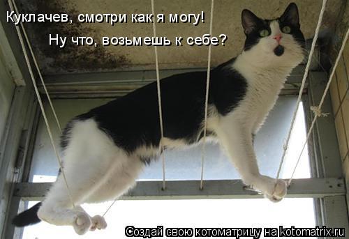 Куклачев, смотри как я могу! Ну что, возьмешь к себе?... Котоматрица: Куклачев, смотри как я могу! Ну что, возьмешь к себе?