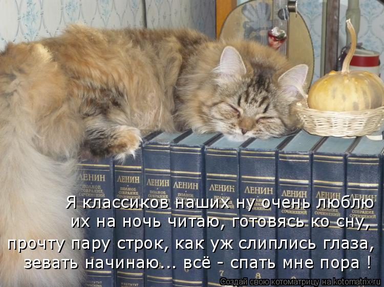 зевать начинаю... всё - спать мне пора ! прочту пару строк, как уж слиплись глаза, их на ночь читаю, ... Котоматрица: зевать начинаю... всё - спать мне пора ! прочту пару строк, как уж слиплись глаза, их на ночь читаю, готовясь ко сну, Я классиков наших ну очень