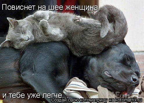 Котоматрица: Повиснет на шее женщина, и тебе уже легче...