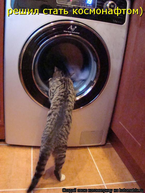 Котоматрица: решил стать космонафтом)