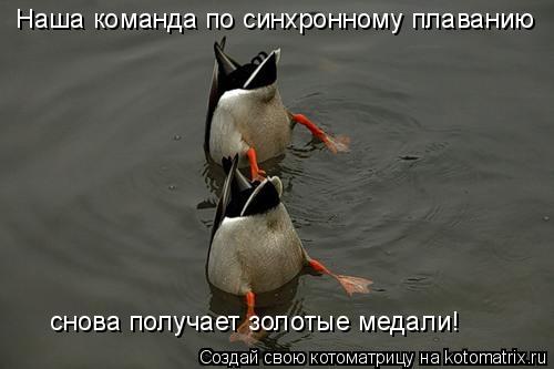 Наша команда по синхронному плаванию снова получает золотые медали!... Котоматрица: Наша команда по синхронному плаванию снова получает золотые медали!