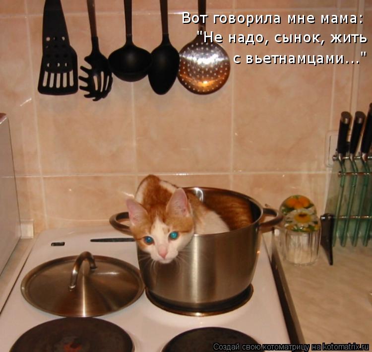 Вот говорила мне мама: "Не надо, сынок, жить с вьетнамцами..."... Котоматрица: Вот говорила мне мама: "Не надо, сынок, жить с вьетнамцами..."