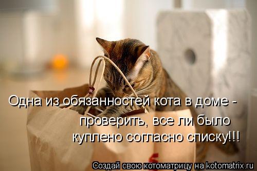 Одна из обязанностей кота в доме - проверить, все ли было куплено согласно списку!!!... Котоматрица: Одна из обязанностей кота в доме - проверить, все ли было куплено согласно списку!!!