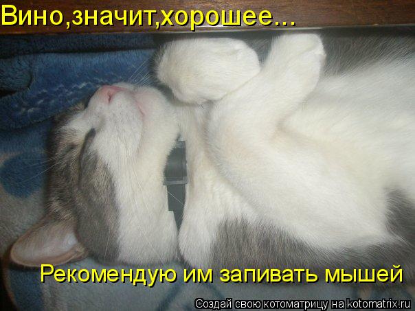 Котоматрица: Вино,значит,хорошее... Рекомендую им запивать мышей