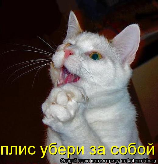 плис убери за собой... Котоматрица: плис убери за собой