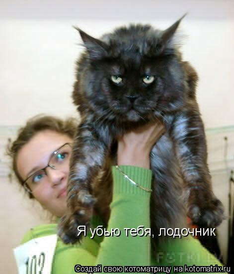 Я убью тебя, лодочник... Котоматрица: Я убью тебя, лодочник