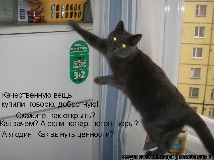 Качественную вещь купили, говорю, добротную! Скажите, как открыть? Как зачем? А если пожар, потоп, в... Котоматрица: Качественную вещь купили, говорю, добротную! Скажите, как открыть? Как зачем? А если пожар, потоп, воры? А я один! Как вынуть ценности?