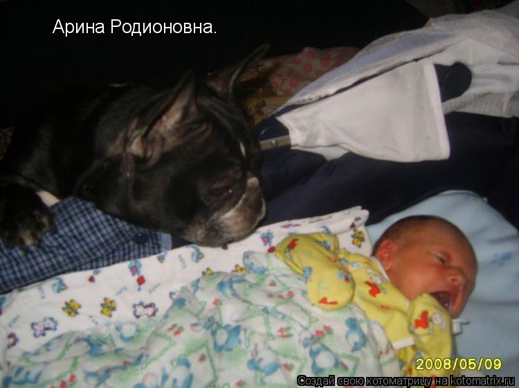 Арина Родионовна.... Котоматрица: Арина Родионовна.