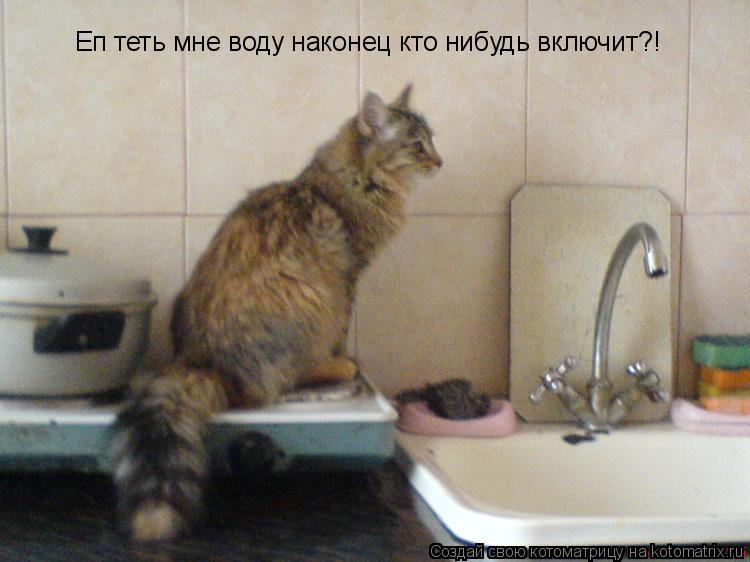 Котоматрица: Еп теть мне воду наконец кто нибудь включит?!