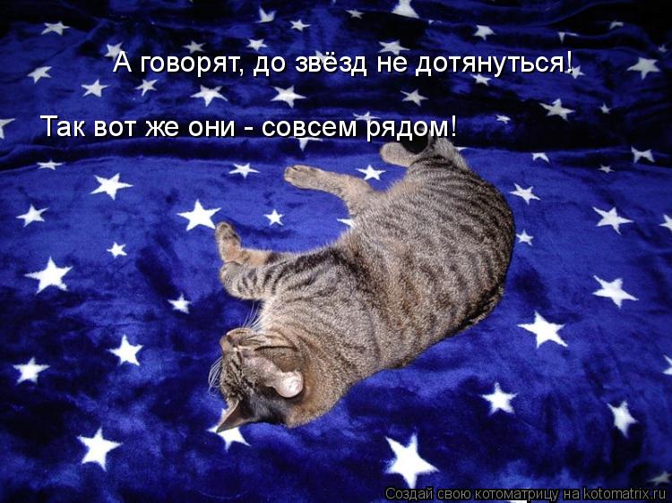 А говорят, до звёзд не дотянуться! Так вот же они - совсем рядом!... Котоматрица: А говорят, до звёзд не дотянуться! Так вот же они - совсем рядом!