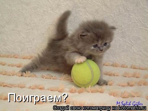 Поиграем?... Котоматрица: Поиграем?