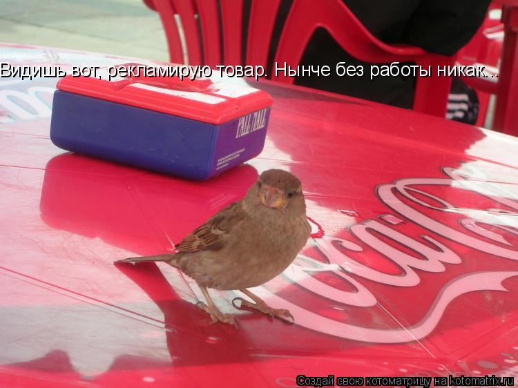 Видишь вот, рекламирую товар. Нынче без работы никак...... Котоматрица: Видишь вот, рекламирую товар. Нынче без работы никак...