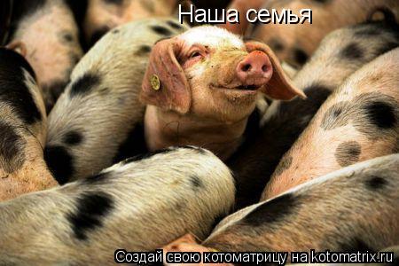 Наша семья... Котоматрица: Наша семья