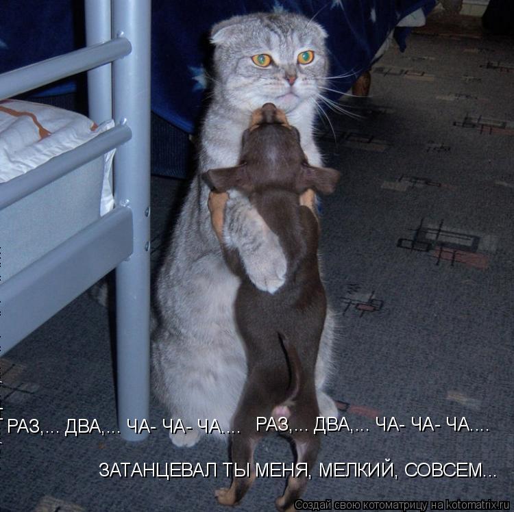 РАЗ,... ДВА,... ЧА- ЧА- ЧА.... ЗАТАНЦЕВАЛ ТЫ МЕНЯ, МЕЛКИЙ, СОВСЕМ... РАЗ,... ДВА,... ЧА- ЧА- ЧА.... Р... Котоматрица: РАЗ,... ДВА,... ЧА- ЧА- ЧА.... ЗАТАНЦЕВАЛ ТЫ МЕНЯ, МЕЛКИЙ, СОВСЕМ... РАЗ,... ДВА,... ЧА- ЧА- ЧА.... РАЗ,... ДВА,... ЧА- ЧА- ЧА....