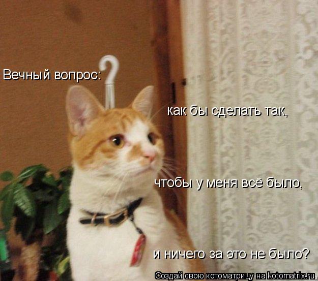 Котоматрица: Вечный вопрос: как бы сделать так, чтобы у меня всё было, и ничего за это не было?