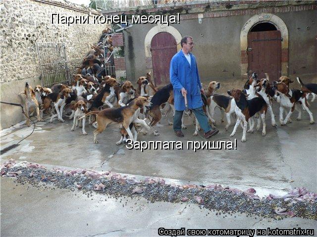 Парни конец месяца! Зарплата пришла!... Котоматрица: Парни конец месяца! Зарплата пришла!