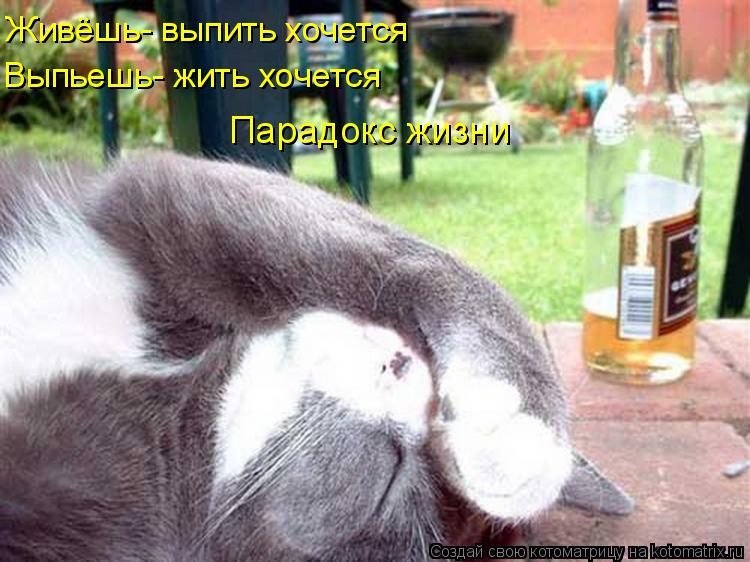 Живёшь- выпить хочется Выпьешь- жить хочется Парадокс жизни... Котоматрица: Живёшь- выпить хочется Выпьешь- жить хочется Парадокс жизни