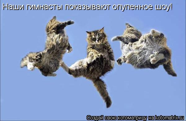 Наши гимнасты показывают опупенное шоу!... Котоматрица: Наши гимнасты показывают опупенное шоу!