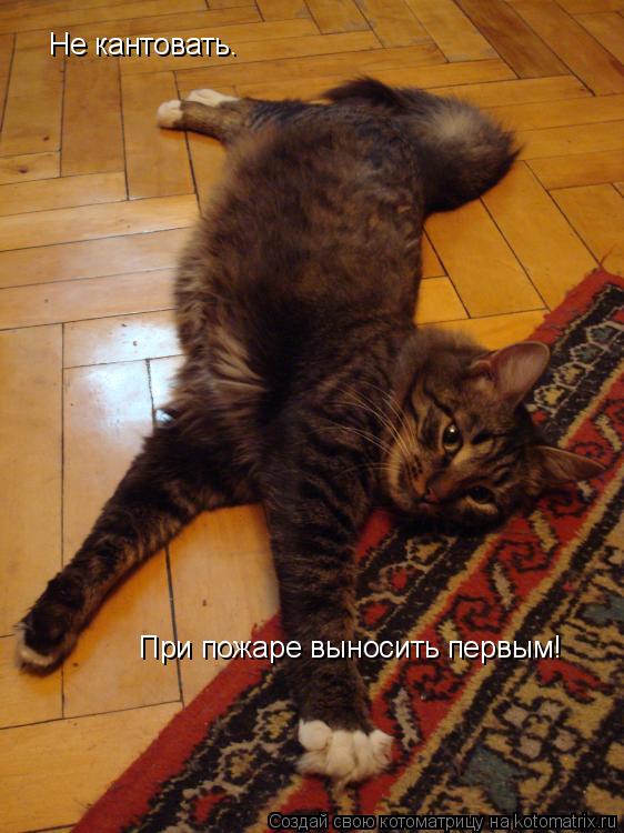 Не кантовать. При пожаре выносить первым!... Котоматрица: Не кантовать. При пожаре выносить первым!