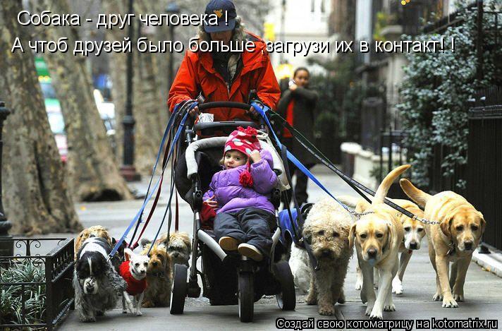 Собака - друг человека ! А чтоб друзей было больше ,загрузи их в контакт! !... Котоматрица: Собака - друг человека ! А чтоб друзей было больше ,загрузи их в контакт! !