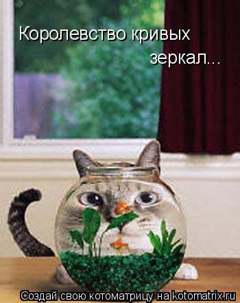 Королевство кривых зеркал...... Котоматрица: Королевство кривых зеркал...