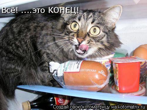 Всё! ....это КОНЕЦ!... Котоматрица: Всё! ....это КОНЕЦ!