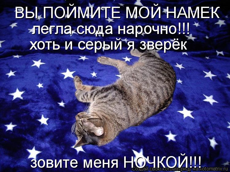 ВЫ ПОЙМИТЕ МОЙ НАМЕК легла сюда нарочно!!! хоть и серый я зверёк зовите меня НОЧКОЙ!!!... Котоматрица: ВЫ ПОЙМИТЕ МОЙ НАМЕК легла сюда нарочно!!! хоть и серый я зверёк зовите меня НОЧКОЙ!!!