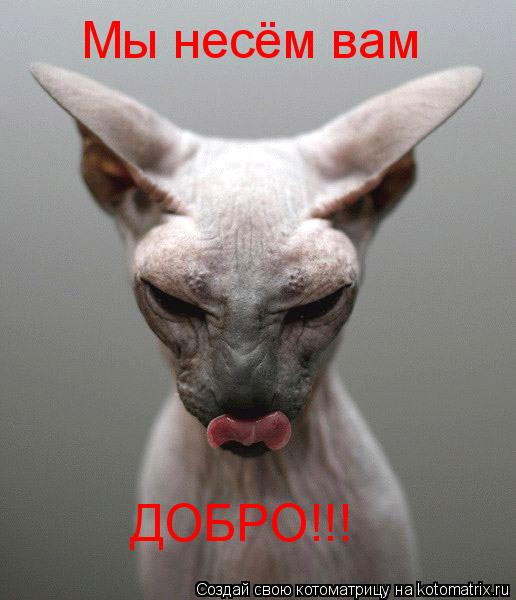 Мы несём вам ДОБРО!!!... Котоматрица: Мы несём вам ДОБРО!!!
