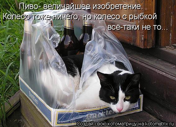 Пиво- величайшее изобретение. Колесо тоже ничего, но колесо с рыбкой всё-таки не то...... Котоматрица: Пиво- величайшее изобретение. Колесо тоже ничего, но колесо с рыбкой всё-таки не то...