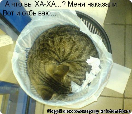 А что вы ХА-ХА...? Меня наказали Вот и отбываю...... Котоматрица: А что вы ХА-ХА...? Меня наказали Вот и отбываю...