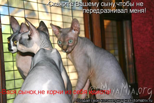 -Скажите Вашему сыну,чтобы не передразнивал меня! -Вася,сынок,не корчи из себя идиота!... Котоматрица: -Скажите Вашему сыну,чтобы не передразнивал меня! -Вася,сынок,не корчи из себя идиота!