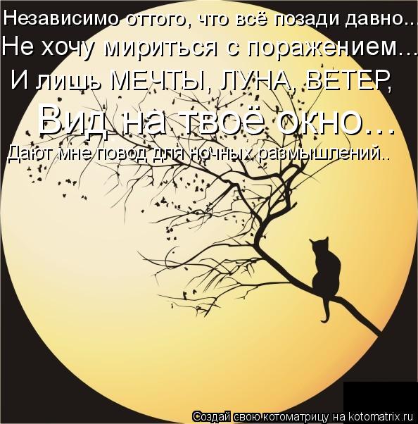 Не хочу мириться с поражением... И лишь МЕЧТЫ, ЛУНА, ВЕТЕР, Вид на твоё окно... Дают мне повод для н... Котоматрица: Не хочу мириться с поражением... И лишь МЕЧТЫ, ЛУНА, ВЕТЕР, Вид на твоё окно... Дают мне повод для ночных размышлений.. Независимо оттого, что в