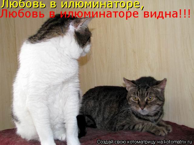 Любовь в илюминаторе, Любовь в илюминаторе видна!!!... Котоматрица: Любовь в илюминаторе, Любовь в илюминаторе видна!!!
