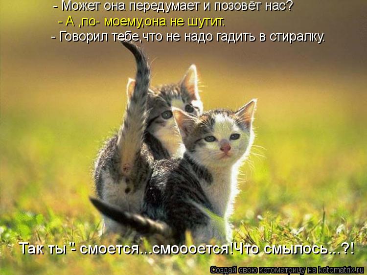 - А ,по- моему,она не шутит. - Говорил тебе,что не надо гадить в стиралку. - Может она передумает и п... Котоматрица: - А ,по- моему,она не шутит. - Говорил тебе,что не надо гадить в стиралку. - Может она передумает и позовёт нас? Так ты - смоется...смоооется!Что с