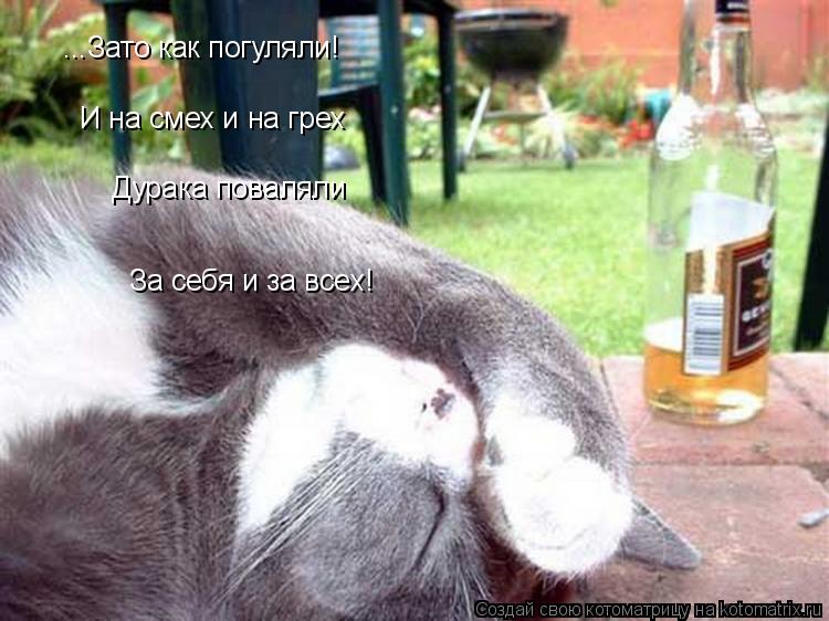 ...Зато как погуляли! Дурака поваляли За себя и за всех! И на смех и на грех... Котоматрица: ...Зато как погуляли! Дурака поваляли За себя и за всех! И на смех и на грех