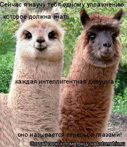 Котоматрица: Сейчас я научу тебя одному упражнению, которое должна знать каждая интеллигентная девушка оно называется стрельба глазами!