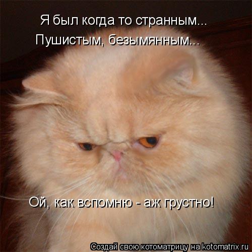 Я был когда то странным... Пушистым, безымянным... Ой, как вспомню - аж грустно!... Котоматрица: Я был когда то странным... Пушистым, безымянным... Ой, как вспомню - аж грустно!