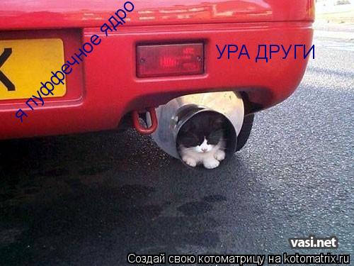я пуффечное ядро УРА ДРУГИ... Котоматрица: я пуффечное ядро УРА ДРУГИ