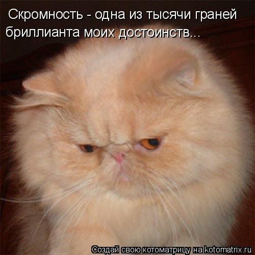 Скромность - одна из тысячт Скромность - одна из тысячи граней бриллианта моих достоинств...... Котоматрица: Скромность - одна из тысячт Скромность - одна из тысячи граней бриллианта моих достоинств...