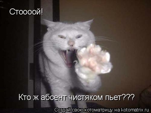 Стоооой! Стоооой! Кто ж абсент чистяком пьет???... Котоматрица: Стоооой! Стоооой! Кто ж абсент чистяком пьет???