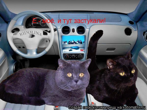 Е - моё, и тут застукали!... Котоматрица: Е - моё, и тут застукали!